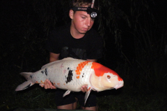 menards_carp_fishery_249_20120608_1254684621