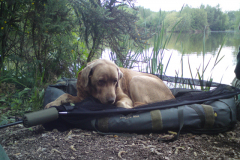 menards_carp_fishery_371_20120608_1004285160
